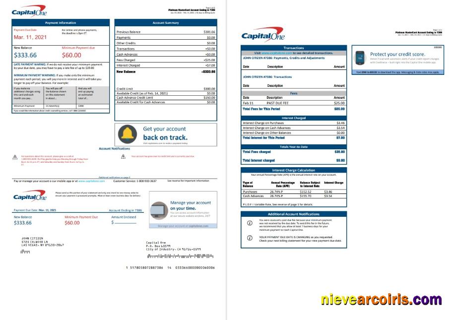 USA Capital One bank statement in Word and PDF format (2 pages) version 3